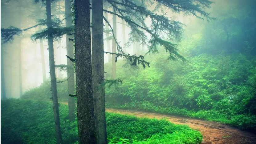 Remote mountain trail with scenic views in Uttarakhand