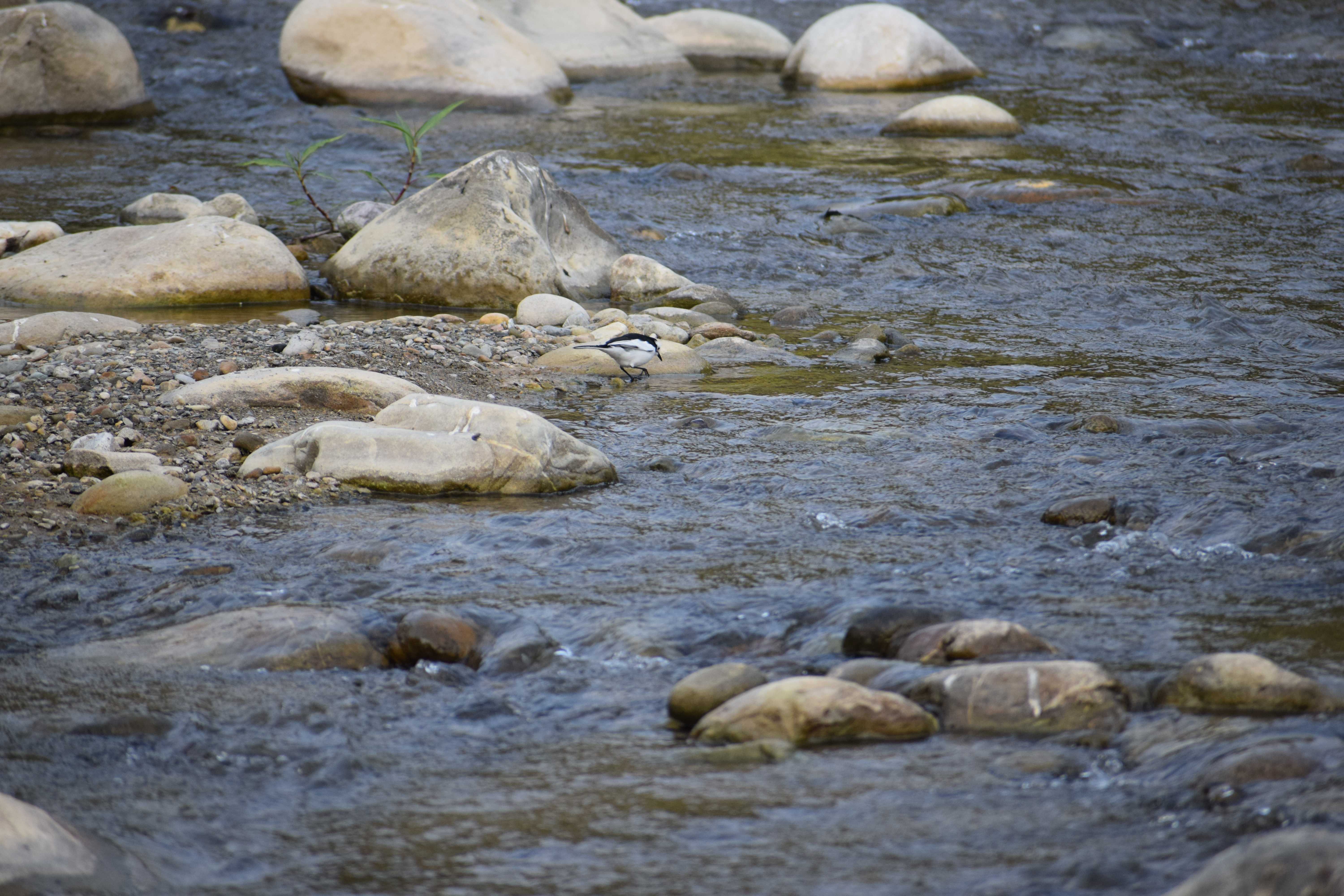 Hidden village in the Himalayas