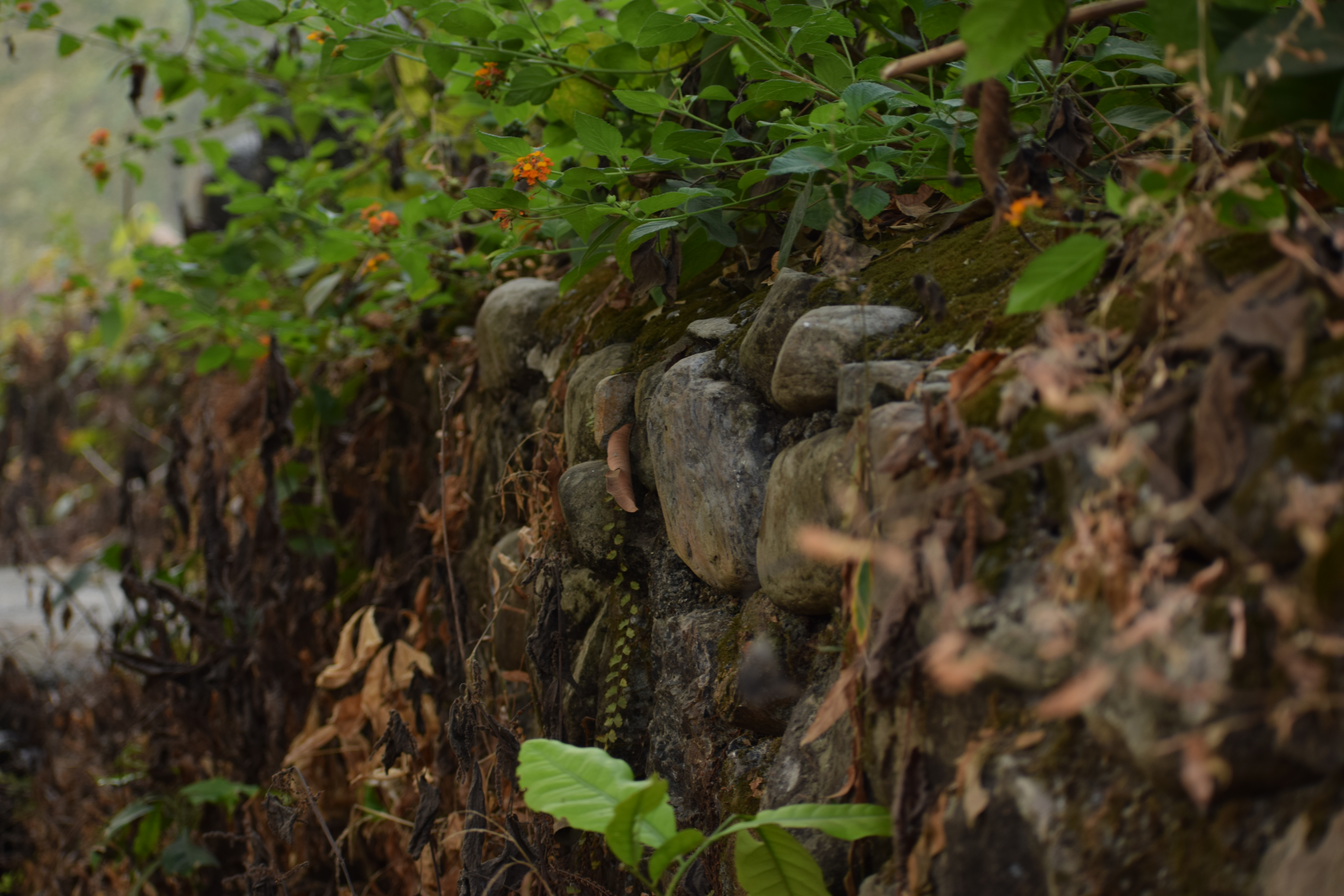 Slow Travel Collective: Community-Centered Adventures